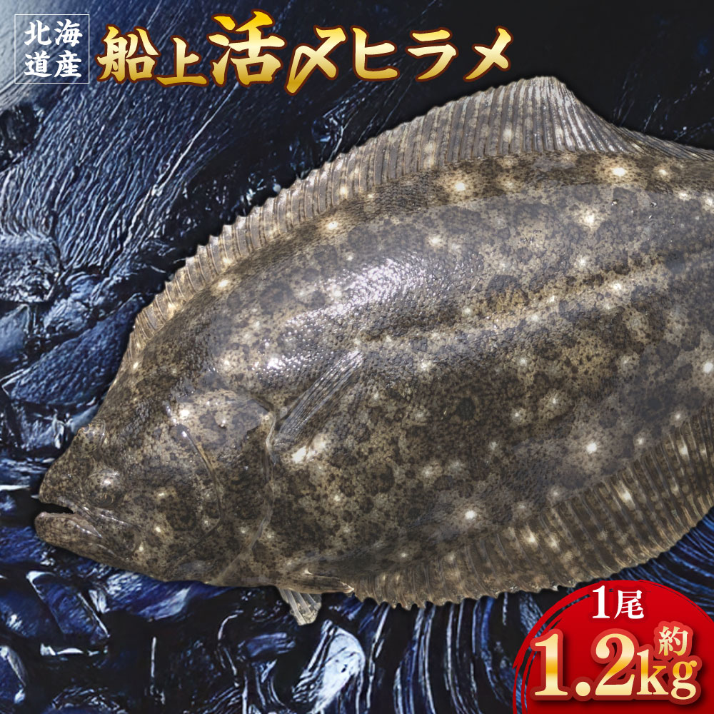 【ふるさと納税】北海道産 船上活〆ヒラメ 約1.2kg 春ヒラメ ヒラメ 魚介類 水産物 さかな 魚 昆布締め カルパッチョ 漬け 冷蔵 国産 北海道 蘭越町 送料無料 【2026年5月上旬～12月上旬まで発送予定】