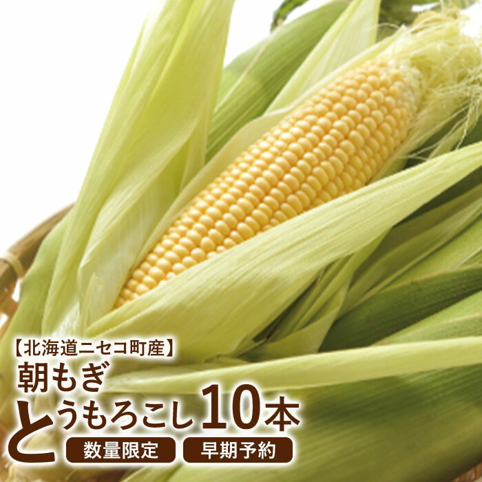 【ふるさと納税】【北海道ニセコ町産】朝もぎ とうもろこし 10本 ＜数量限定・2026年早期予約・7月中旬より出荷予定＞ | とうもろこし 10本 北海道産 先行受付 野菜 予約 7月下旬 おうち おうちグルメ お取り寄せ ふるさと納税 北海道 ニセコ ニセコ町【0202303】