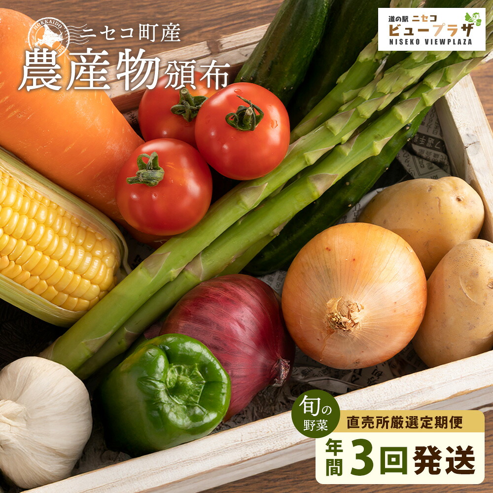 【ふるさと納税】【道の駅ニセコビュープラザ直売所厳選定期便】北海道ニセコ町産農産物頒布（旬の野菜年間3回発送）＜2026年予約＞【02033】