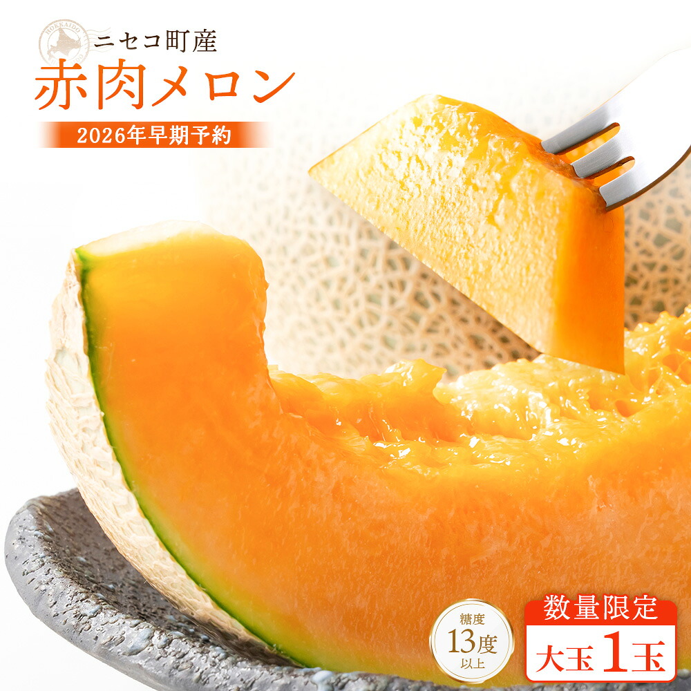 【ふるさと納税】【北海道ニセコ町産】赤肉メロン大玉1玉　＜数量限定・2026年早期予約・7月下旬より出荷予定＞【02035】