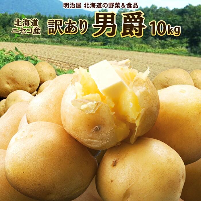 【ふるさと納税】〈早期予約・数量限定〉北海道ニセコ町 訳ありじゃがいも男爵10kg【2026年産】【3201002】