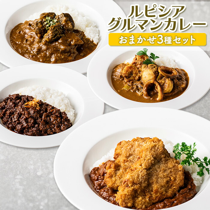 こちらのみ‼️北海道 サホロ 特製ビーフカレー3袋セット N-2502 【シオクリ シントク】さほろ カレーのセット - 北海道新