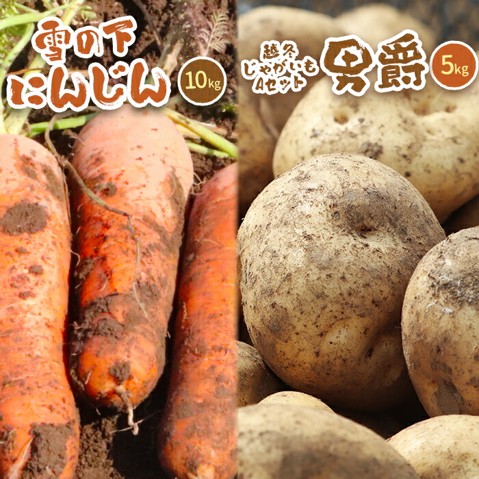 【ふるさと納税】北海道真狩村産　雪の下にんじん約10kgと越冬じゃがいも約5kg Aセット(男爵)  【2026年春お届け分】【0115201】