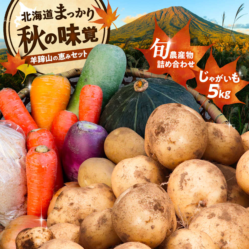 【ふるさと納税】【2026年11月下旬以降発送】 秋の味覚セット（小）（じゃがいも5kg・旬の農産物詰め合わせ） | 野菜セット 野菜 詰合せ じゃがいも 季節の野菜 | 道の駅 真狩フラワーセンター[BPAM001]