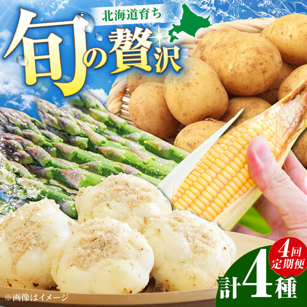 【ふるさと納税】【2026年5月下旬以降順次発送】 【全4回定期便】 まっかり四季の恵みセット | 野菜セット 野菜 詰合せ アスパラ とうもろこし じゃがいも ゆり根 | 道の駅 真狩フラワーセンター[BPAM007]