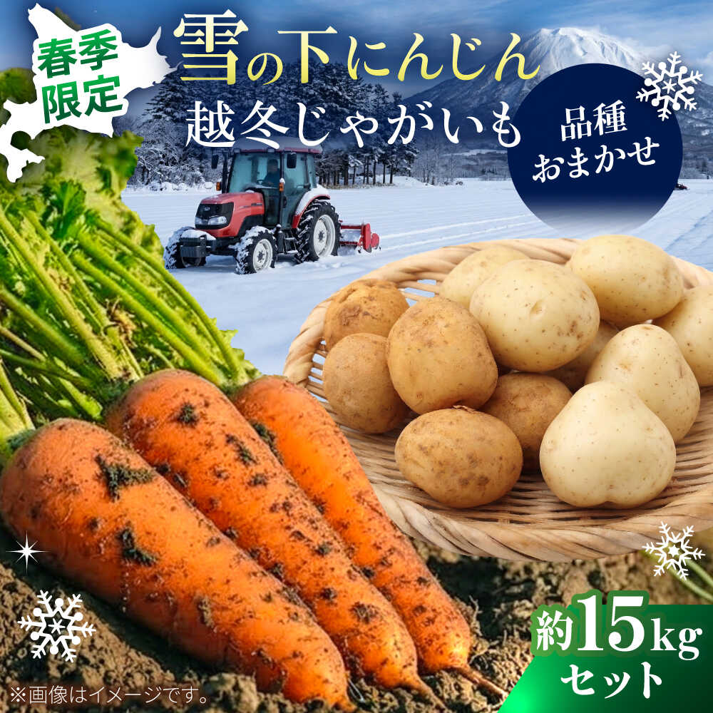 【ふるさと納税】【2027年3月下旬以降順次発送】 雪の下にんじんと越冬じゃがいもセット 計15kg（じゃがいも種類おまかせ）| 野菜セット 野菜 セット にんじん じゃがいも 先行予約 | 道の駅 真狩フラワーセンター[BPAM035]｜北海道真狩村