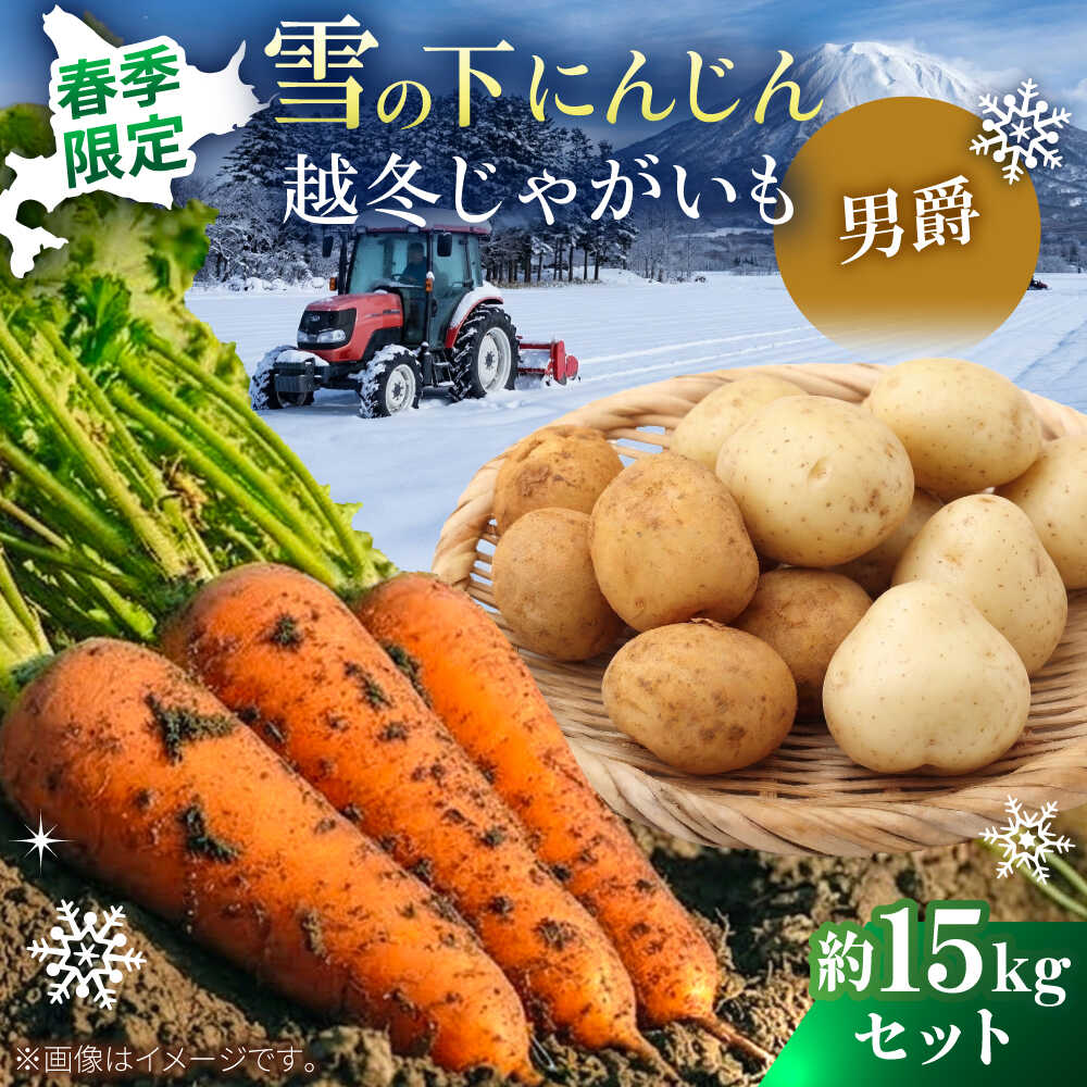 【ふるさと納税】【2027年3月下旬以降順次発送】 雪の下にんじんと越冬じゃがいもセット 計15kg（男爵）| 野菜セット 野菜 セット にんじん じゃがいも 先行予約 | 道の駅 真狩フラワーセンター[BPAM036]｜北海道真狩村