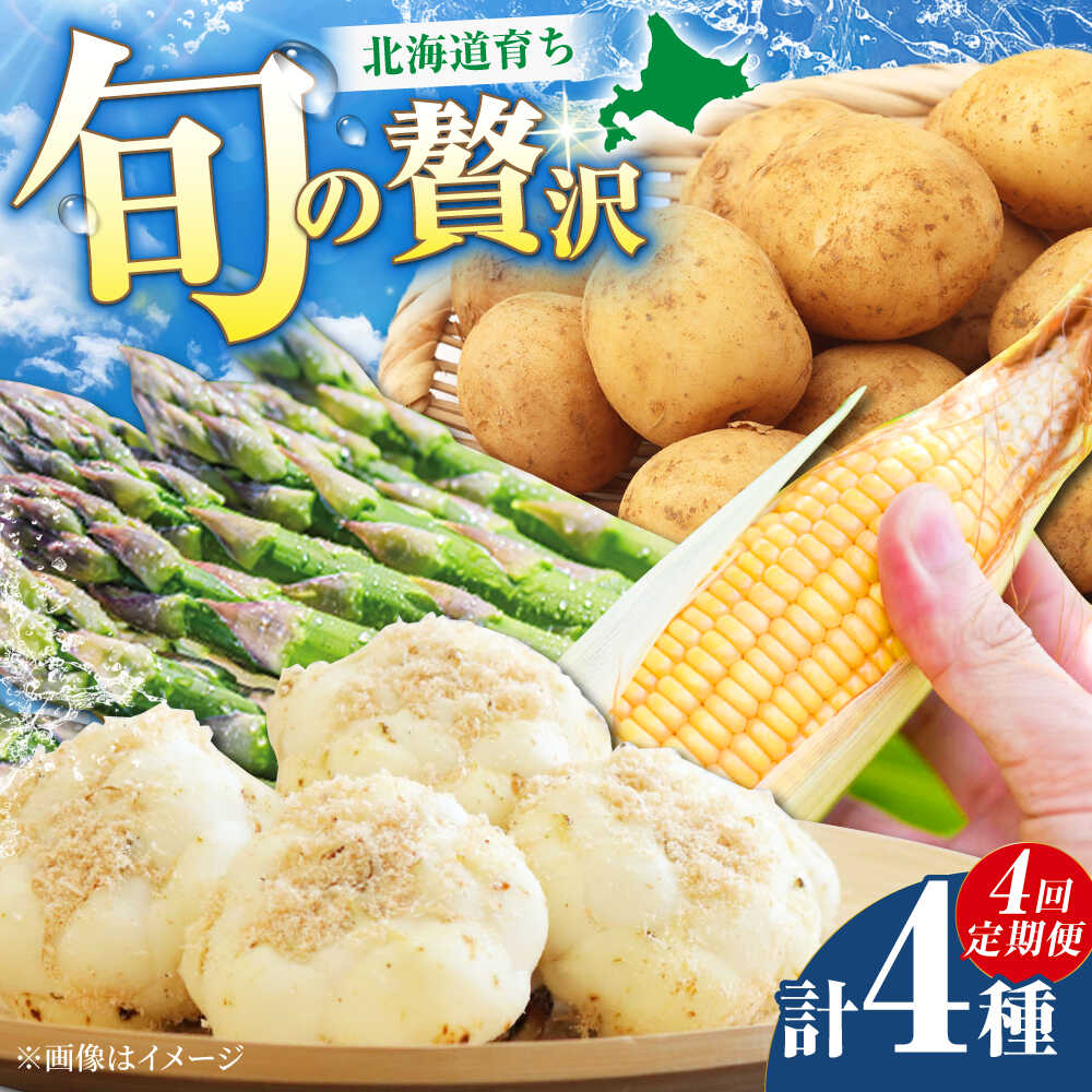 【ふるさと納税】【5月下旬以降順次発送】【全4回定期便】 四季の恵み ミニセット | 野菜 アスパラガス とうもろこし ゆり根 じゃがいも 北海道 | 道の駅 真狩フラワーセンター[BPAM046]