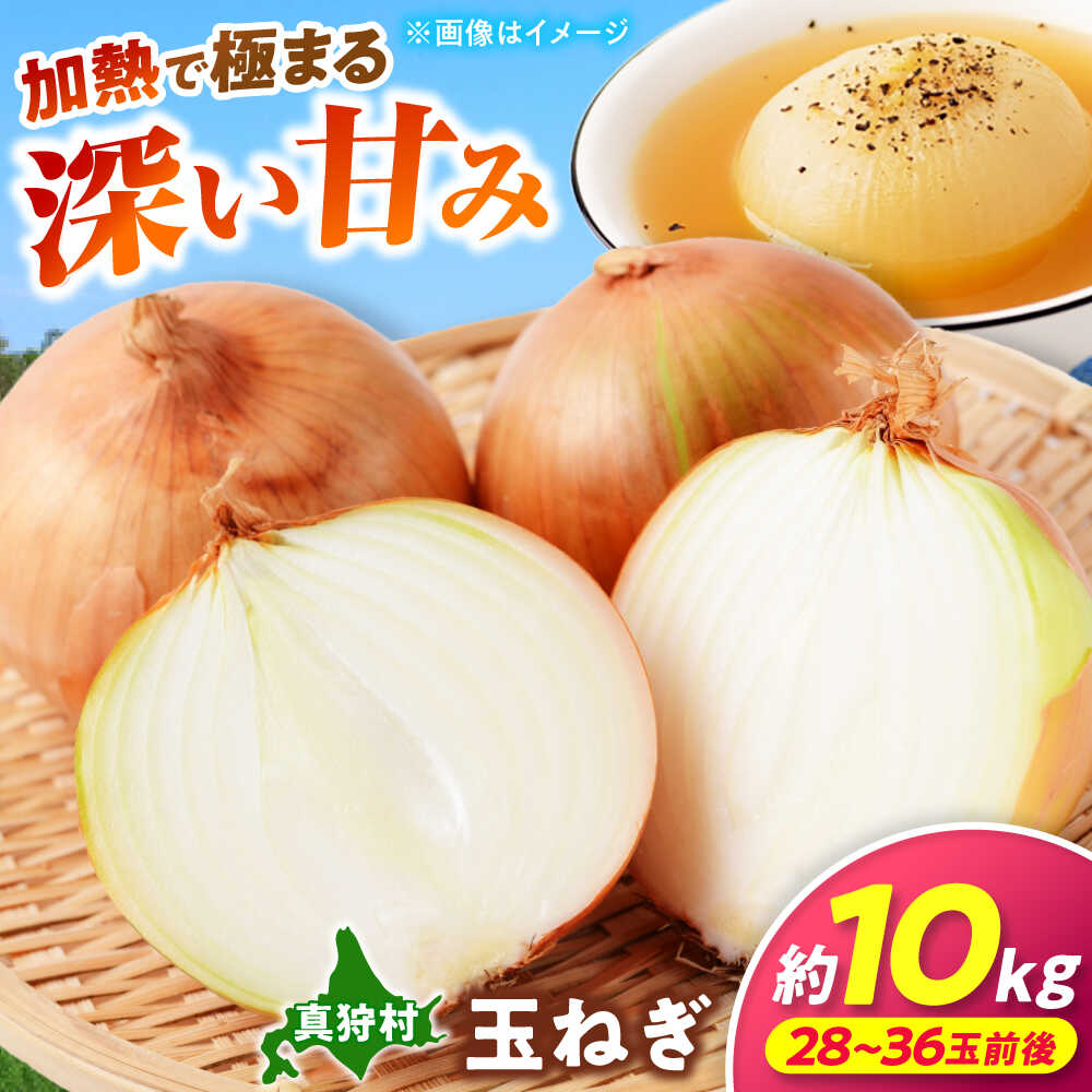 【ふるさと納税】【2026年10月上旬以降順次発送】 玉ねぎ 10kg | 野菜 玉ネギ たまねぎ やさい 北海道 産地直送 先行予約 | 道の駅 真狩フラワーセンター[BPAM080]｜北海道真狩村 10,000円