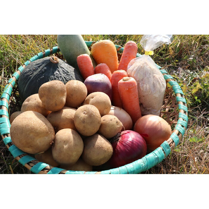 【ふるさと納税】秋の真狩味覚セット B（じゃがいも10Kg！（2種各約5Kg）二種食べ比べと旬の農産物詰め合わせ）【2025年産】北海道真狩村産　お楽しみ　詰め合わせ【0111001】