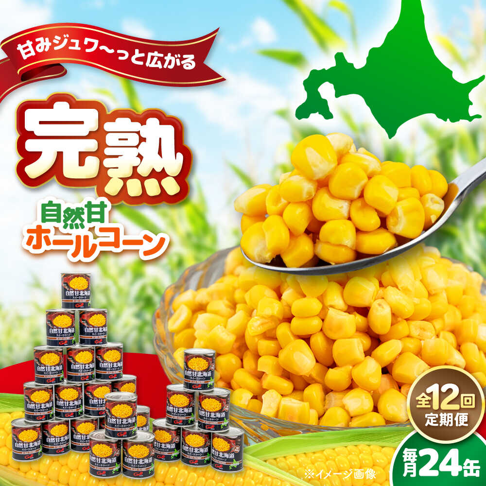 【ふるさと納税】【全12回定期便】北海道 自然甘ホールコーン 24缶《喜茂別町》【きもべつ観光協会】 コーン コーン缶 缶 缶詰 とうもろこし トウモロコシ 北海道 常温 常温配送 定期便 定期 [AJAG026] 216000 216000円｜北海道喜茂別町