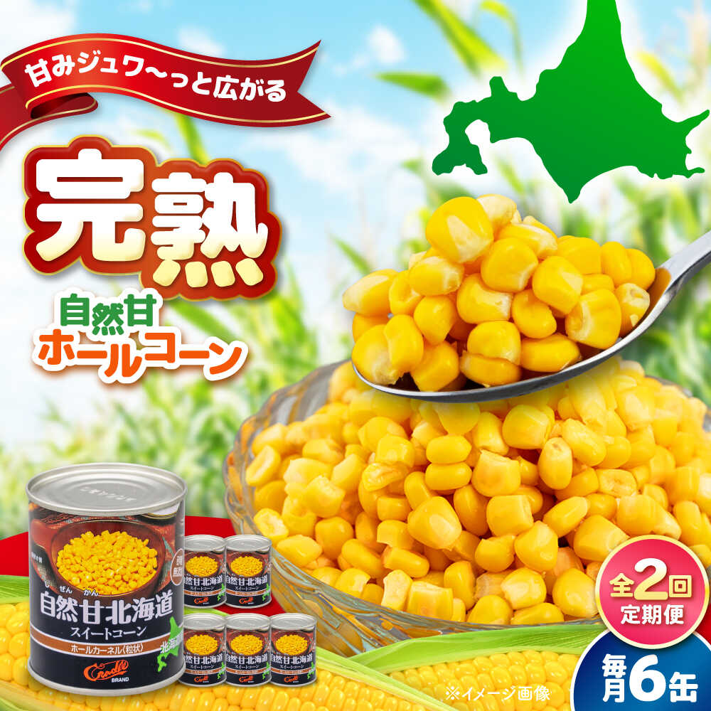 【ふるさと納税】【全2回定期便】北海道 自然甘ホールコーン 6缶《喜茂別町》【きもべつ観光協会】 コーン コーン缶 缶 缶詰 とうもろこし トウモロコシ 北海道 常温 常温配送 定期便 定期 [AJAG031] 10000 10000円 1万円