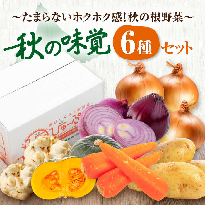 【ふるさと納税】先行予約 数量限定 北海道産 秋のうまいもん 6種セット  《喜茂別町》【ニセコビュープラザ直売会協同組合】 先行予約 セット 詰め合わせ 秋野菜 冬野菜 季節の野菜 玉ねぎ たまねぎ じゃがいも 北海道 おすすめ [AJAH024] 13000 13000円
