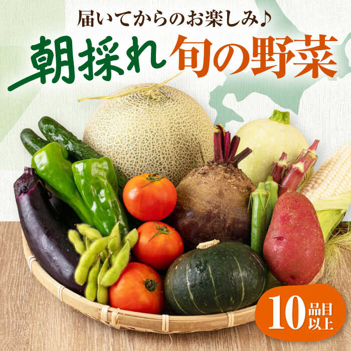 【ふるさと納税】先行予約 数量限定 北海道産 朝採れ 旬の野菜 10品目 詰め合わせ  《喜茂別町》【ニセコビュープラザ直売会協同組合】 野菜 セット 先行予約 夏野菜 秋野菜 季節の野菜 北海道 おすすめ [AJAH026] 11000 11000円