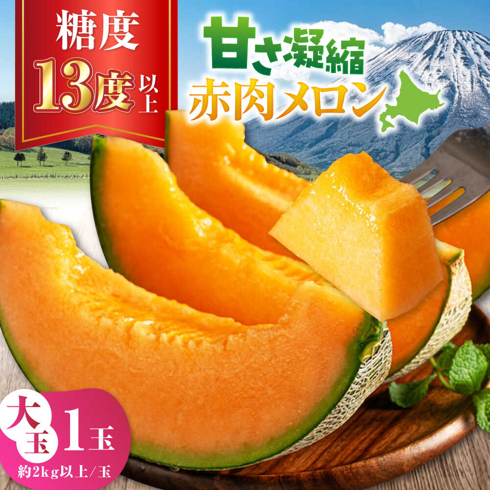 【ふるさと納税】【ニセコ町産】 赤肉メロン 大玉1玉 《喜茂別町》【ニセコビュープラザ直売会協同組合】 メロン 化粧箱入り フルーツ 果物 赤肉 常温 常温配送 北海道 [AJAH028] 12000 12000円｜北海道喜茂別町