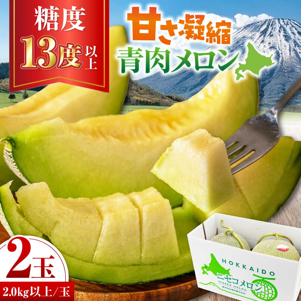 【ふるさと納税】【ニセコ町産】 青肉メロン 大玉2玉《喜茂別町》【ニセコビュープラザ直売会協同組合】 メロン 化粧箱入り フルーツ 果物 青肉 常温 常温配送 北海道 [AJAH030]｜北海道喜茂別町
