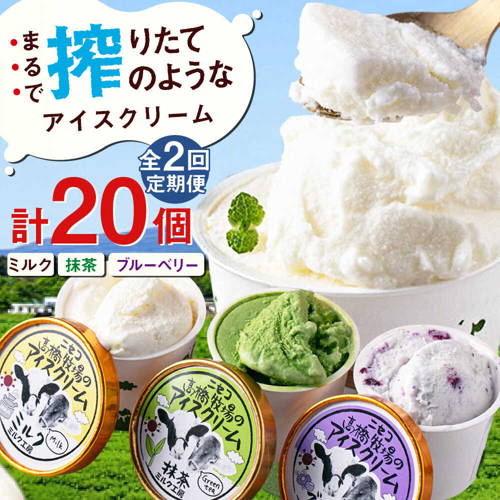 【ふるさと納税】【全2回定期便】北海道 カップアイスセット 20個《喜茂別町》【ニセコリゾート観光協会/ミルク工房】 アイス アイスクリーム ジェラート ミルク 抹茶 ブルーベリー 詰め合わせ ギフト 冷凍配送 北海道 定期便 定期 [AJAI059] 40000 40000円 4万円
