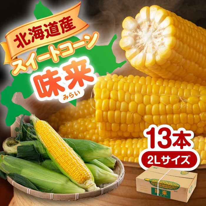 【ふるさと納税】先行予約 スイートコーン 味来 約4.5kg 2Lサイズ×13本 《喜茂別町》【Aコープようてい】 とうもろこし トウモロコシ 季節の野菜 夏野菜 北海道 野菜 先行予約 産地直送 北海道  北海道産 [AJAK006] 11000 11000円