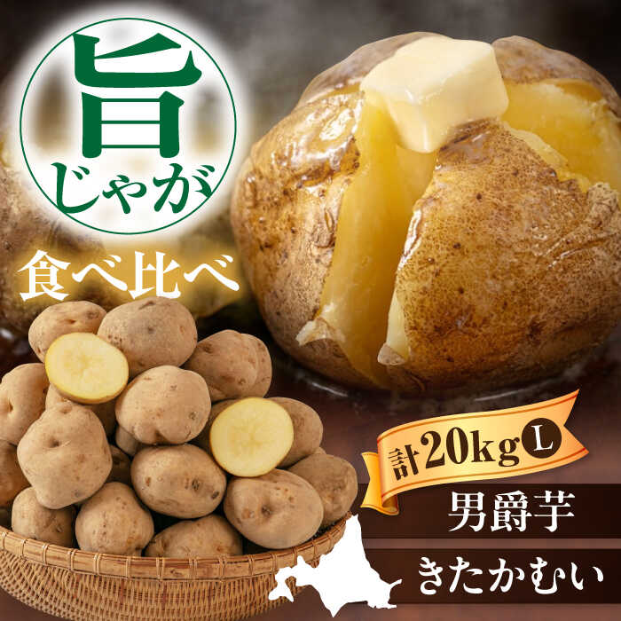 楽天市場】【ふるさと納税】【2025年9月下旬以降順次発送】 新