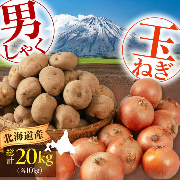 【ふるさと納税】先行予約 男爵芋 玉ねぎセット 20kg （ 男爵芋 玉ねぎ 各10kg）《喜茂別町》【Aコープようてい】 先行予約 じゃがいも ジャガイモ 玉ねぎ たまねぎ 男爵芋 セット 季節の野菜 秋野菜 産地直送 北海道 北海道産 [AJAK016] 15000 15000円