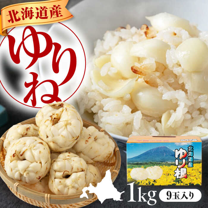 【ふるさと納税】先行予約 ゆり根 1kg  9玉 ギフト箱入り 《喜茂別町》　【Aコープようてい】 先行予約 ユリ根 ユリネ 北海道 季節の野菜 冬野菜 ギフト プレゼント 産地直送 北海道 北海道産 [AJAK018] 9000 9000円