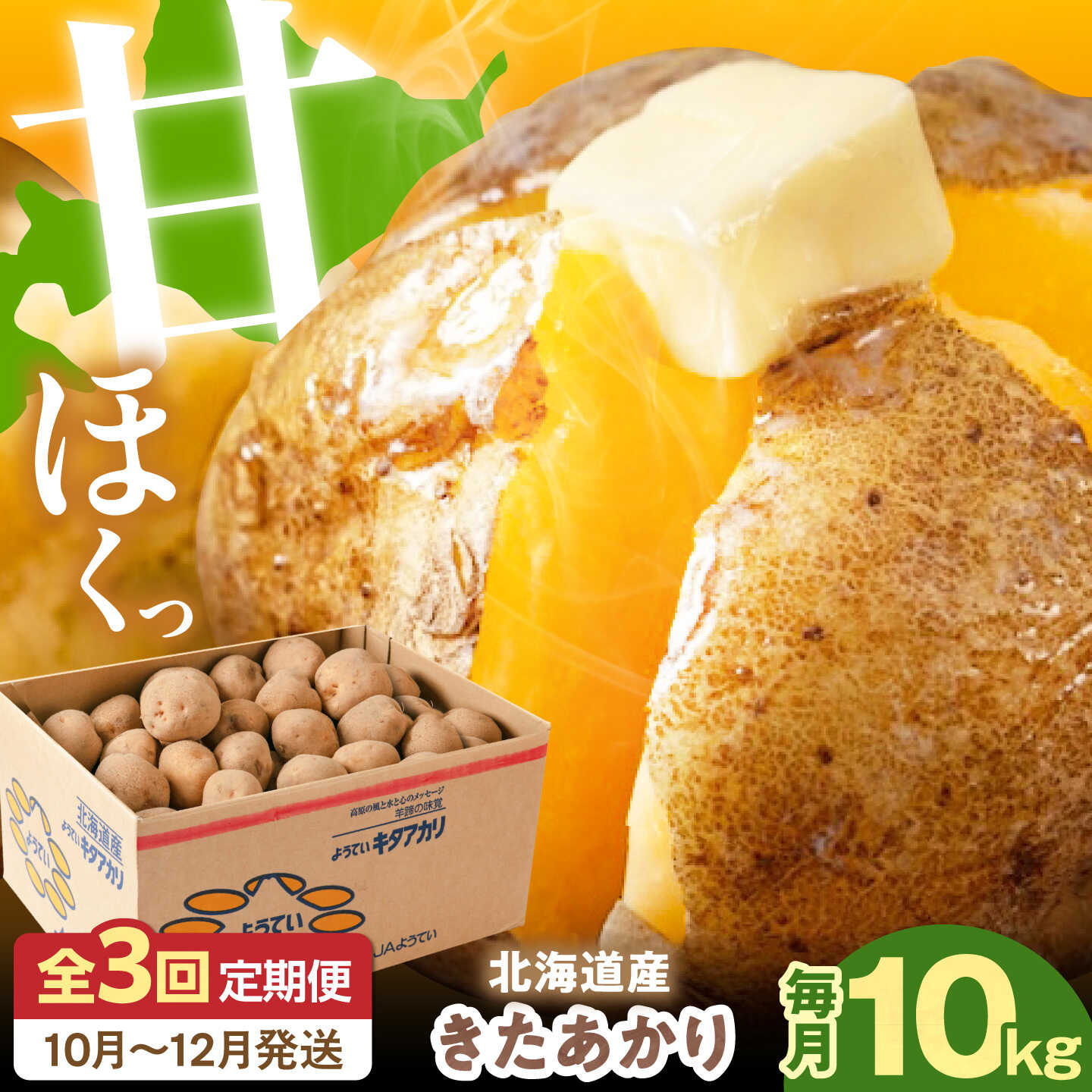 【ふるさと納税】【全3回定期便】【10月～12月発送】北海道 キタアカリ 10kg《喜茂別町》【Aコープようてい】 ジャガイモ じゃがいも 新じゃが 新じゃがいも 野菜 季節の野菜 秋野菜 詰め合わせ 北海道 北海道産 産地直送 定期便 [AJAK019] 30000 3000円 3万円