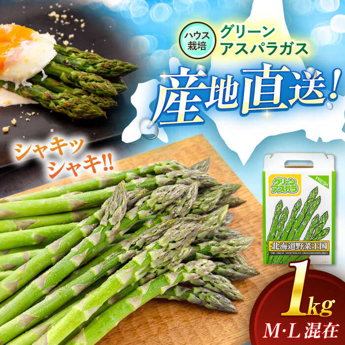 新鮮アスパラ　アスパラガス　5キロ　太めB品 楽天市場】【ふるさと納税】【2026年5月上旬以降順次発送】北海道
