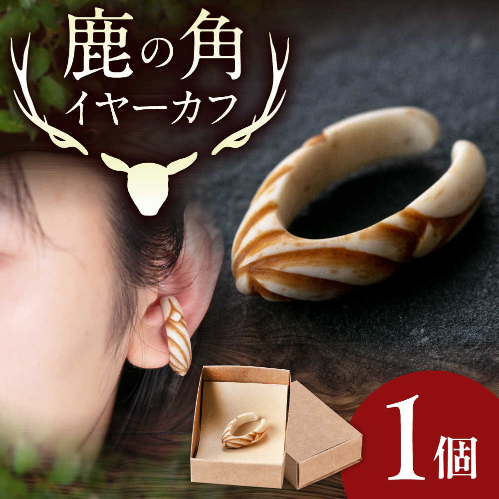 羊蹄山の麓に息づく、生命現象（いのち）の明滅する光…?「エゾ鹿」特集