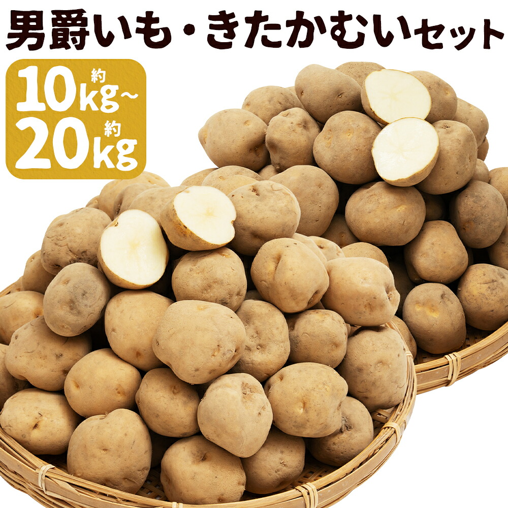 【ふるさと納税】じゃがいも 男爵・きたかむいセット 約10kg/約20kg 選べる内容量 Lサイズ じゃがいも 2種類 食べ比べ セット 芋 野菜 京極町産 北海道産 国産 送料無料【2027年1月上旬～2月下旬迄発送予定】