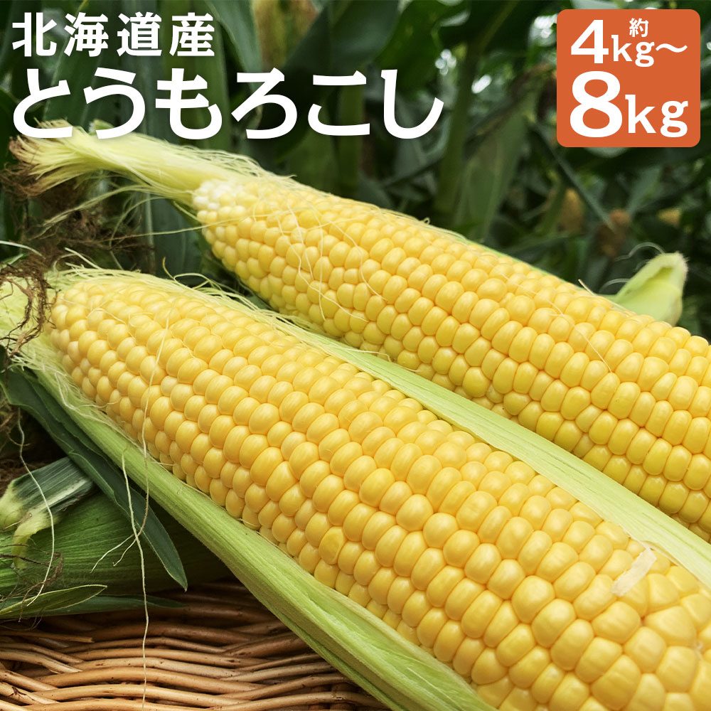 【ふるさと納税】北海道産とうもろこし 恵味 2Lサイズ 約4kg/約8kg 選べる内容量 とうもろこし 野菜 山田農場 京極町産 北海道産 国産 冷蔵 送料無料【2025年8月上旬～8月下旬に順次発送予定】
