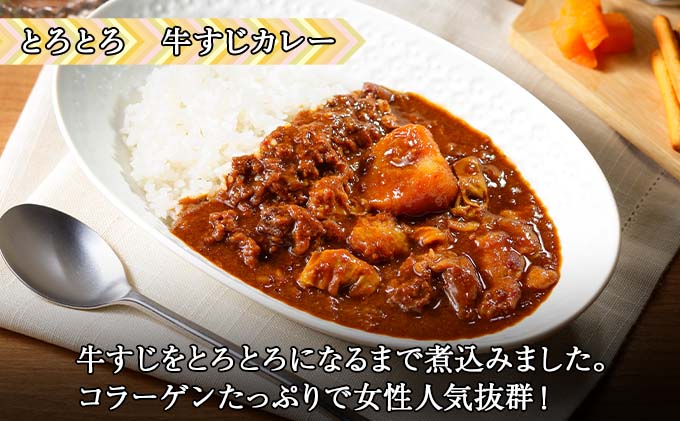 【ふるさと納税】【定期便】毎月1回計3回カレー4種食べ比べ計4個中辛チキンレッグスープカレービーフカレーポークカレー牛すじカレー業務用レトルトカレー保存食備蓄北海道倶知安町【定期便・チキンカレー・ビーフカレー・ポークカレー・牛すじカレー】
