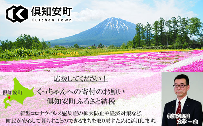 【ふるさと納税】【定期便】毎月1回計3回カレー4種食べ比べ計4個中辛チキンレッグスープカレービーフカレーポークカレー牛すじカレー業務用レトルトカレー保存食備蓄北海道倶知安町【定期便・チキンカレー・ビーフカレー・ポークカレー・牛すじカレー】