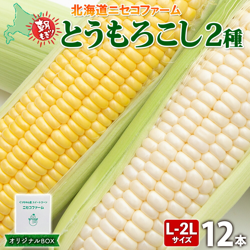 【ふるさと納税】【 2025年 先行予約 】 北海道産 とうもろこし 2種 計12本 L-2L サイズ混合 味来 ロイシーコーン 食べ比べ セット 旬 朝採り 新鮮 トウモロコシ とうきび お取り寄せ 産地直送 野菜 しりべしや 送料無料 　お届け：2025年8月下旬～9月中旬まで