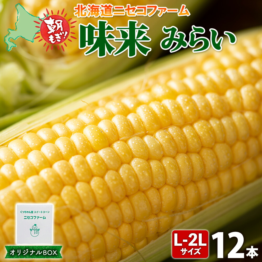 【ふるさと納税】【 2025年 先行予約 】 北海道産 とうもろこし 味来 計12本 L-2L サイズ混合 大きめ みらい 旬 朝採り 新鮮 トウモロコシ 甘い 夏野菜 とうきび お取り寄せ 産地直送 野菜 しりべしや 送料無料 　お届け：2025年8月下旬～9月中旬まで