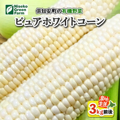 【ふるさと納税】北海道産 とうもろこし 有機 ピュアホワイトコーン 3kg L-LL オーガニック 旬 白い スイート コーン トウモロコシ お取り寄せ 産地直送 野菜 とうきび 送料無料 北海道 倶知安町 　お届け：2025年8月中旬～8月末まで