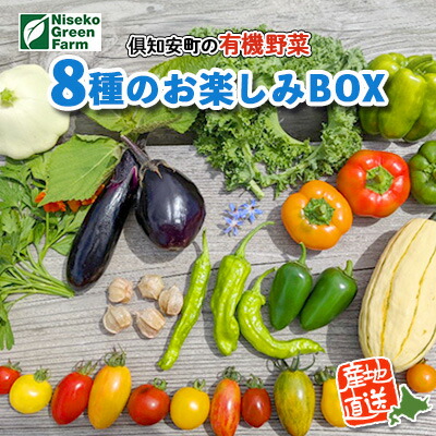 【ふるさと納税】北海道産 有機 野菜BOX 8種類 詰め合わせ セット 採れたて 夏野菜 オーガニック 旬 新鮮 詰め合わせ お取り寄せ 産地直送 産直 野菜 農作物 ギフト 送料無料 北海道 倶知安町 野菜セット 　お届け：2025年7月中旬～9月下旬まで