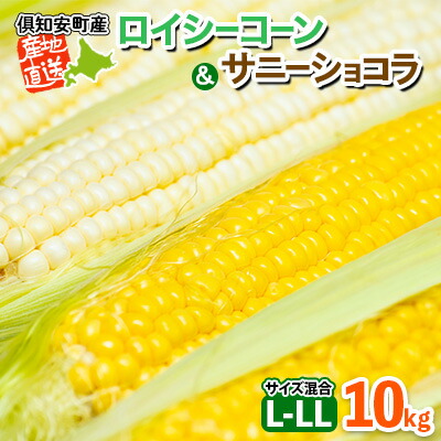【ふるさと納税】北海道産 とうもろこし ロイシーコーン サニーショコラ 計18～20本 10kg前後 L-LLサイズ 旬 スイート コーントウモロコシ とうきび 新鮮 農作物 野菜 産地直送 野菜セット 　お届け：2025年8月上旬～9月下旬