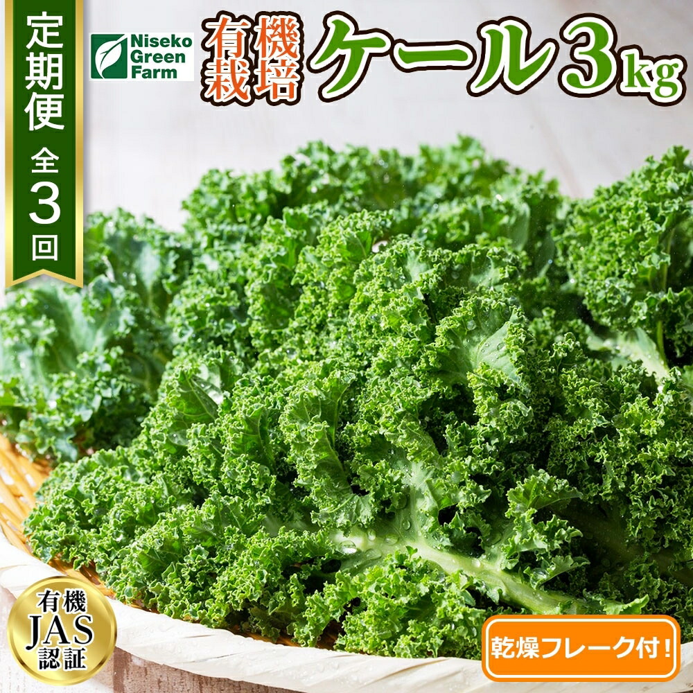 【ふるさと納税】北海道 定期便 3ヵ月連続3回 北海道 有機栽培 ケール 1kg 乾燥フレーク付 オーガニック 有機野菜 緑黄色野菜 JAS 冷蔵 産直 産地直送 国産 ニセコグリーンファーム 送料無料 　お届け：2025年7月10日～9月30日まで
