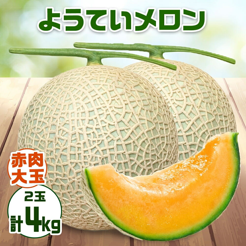 【ふるさと納税】【 2025年発送 】先行予約 北海道 赤肉メロン 大玉 約2kg 2玉 メロン 赤肉 果物 フルーツ 甘い 完熟 スイーツ デザート 産直 国産 贈答品 お祝いギフト羊蹄山 JAようてい　お届け：2025年8月下旬～9月中旬頃まで