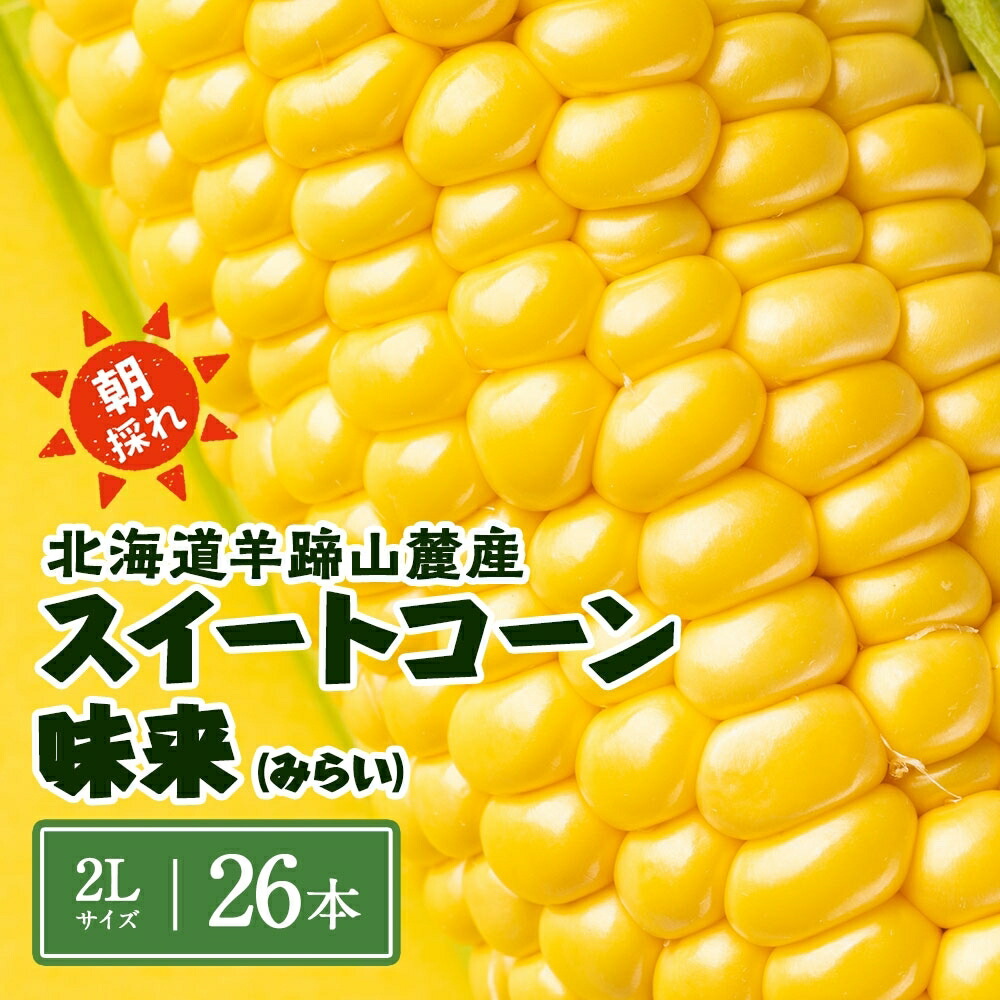 【ふるさと納税】北海道 スイートコーン 味来 約10kg 2Lサイズ 計26本 とうもろこし とうきび コーン 新鮮 採れたて 産直 JAようてい 送料無料 北海道 倶知安町   10キロ 　お届け：2025年8月下旬～9月上旬頃まで