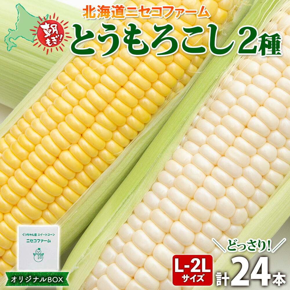 【ふるさと納税】【 2025年 先行予約 】 北海道産 とうもろこし 2種 計24本 L-2L サイズ混合 味来 ロイシーコーン 食べ比べ セット 旬 朝採り 新鮮 トウモロコシ とうきび お取り寄せ 産地直送 野菜 しりべしや 送料無料 　お届け：2025年8月下旬～9月中旬まで