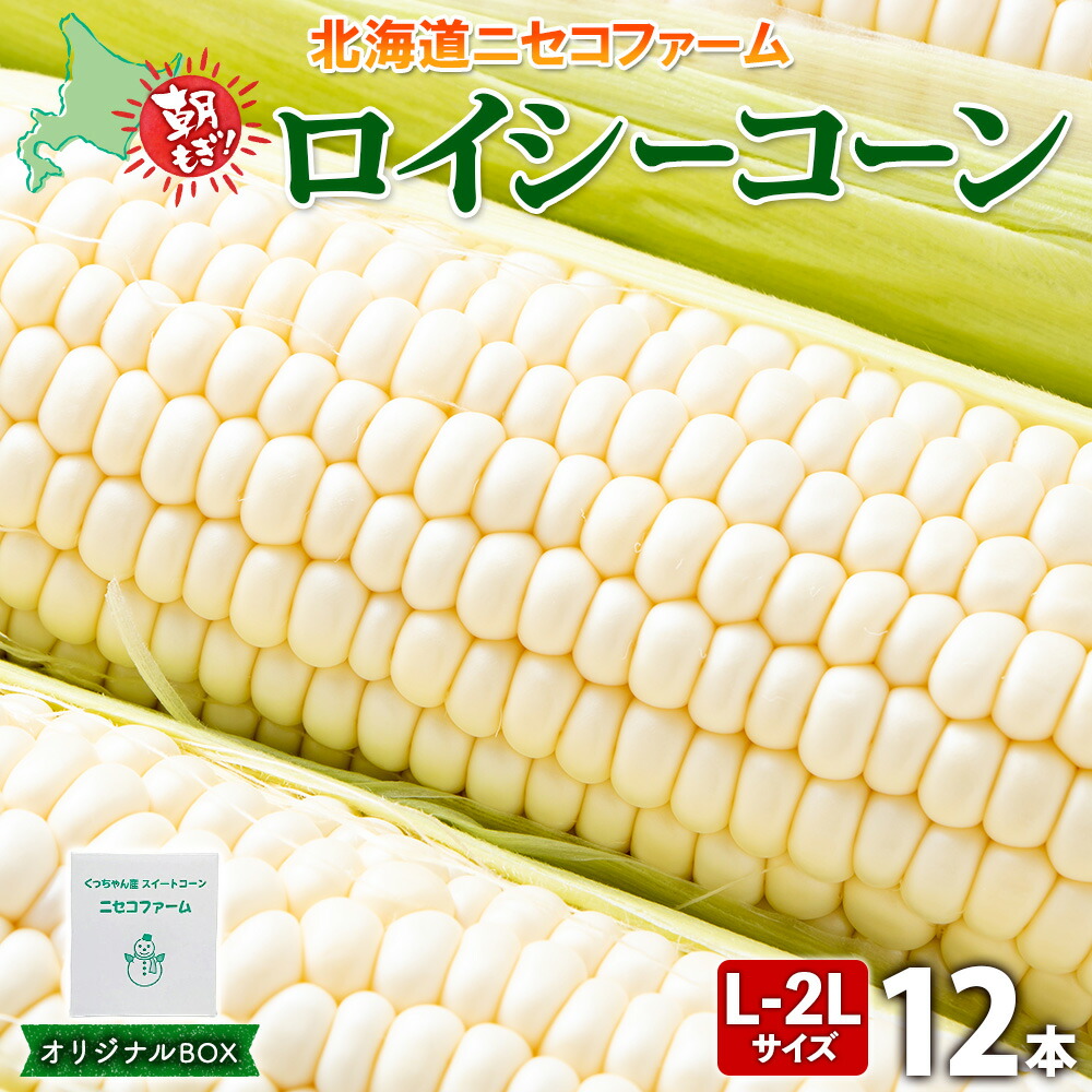 【ふるさと納税】【 2025年 先行予約 】 北海道産 とうもろこし 計12本 L-2L サイズ混合 ロイシーコーン 大きめ 旬 朝採り 新鮮 トウモロコシ 甘い 夏野菜 とうきび お取り寄せ 産地直送 野菜 しりべしや 送料無料 　お届け：2025年8月下旬～9月中旬まで