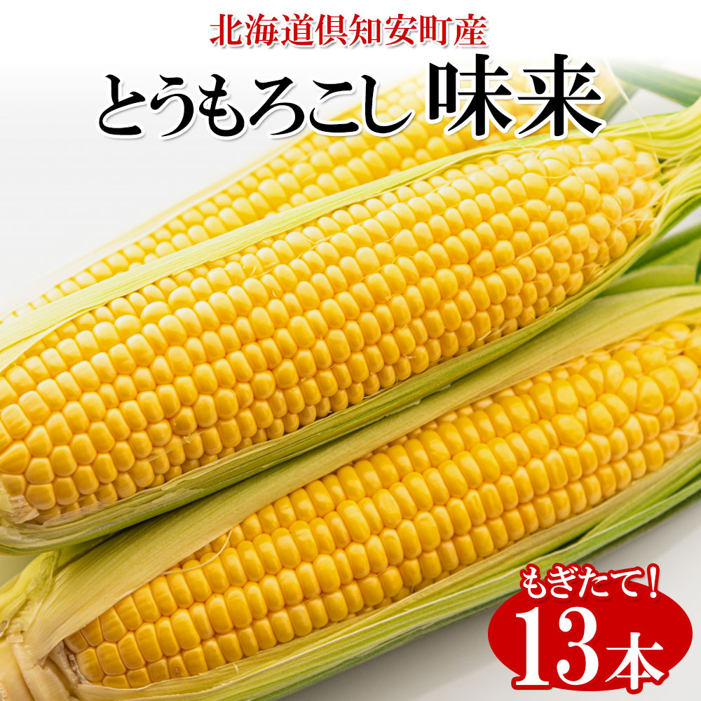 【ふるさと納税】北海道産 朝もぎ イエロー とうもろこし 味来 みらい 2Lサイズ 13本 約5kg 大きめ 夏野菜 とうきび 新鮮 野菜 トウモロコシ ギフト 産地直送 コーン 産直 グリーンアースファーム スイートコーン 　お届け：2025年8月上旬～8月下旬