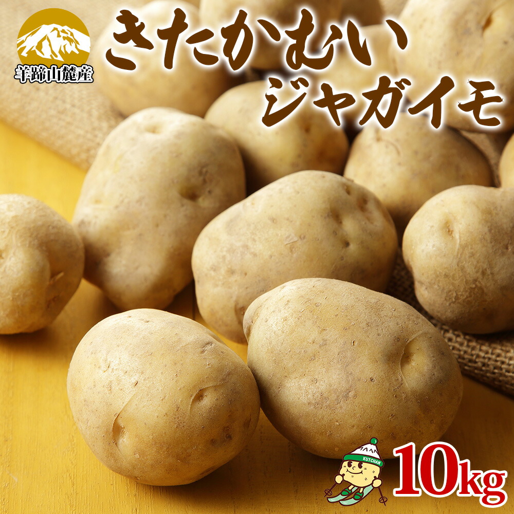 【ふるさと納税】北海道産 じゃがいも きたかむい 約10kg Lサイズ ジャガイモ キタカムイ 馬鈴薯 いも ポテト 常備野菜 根菜 産直 国産 日本産 JAようてい 送料無料 北海道 倶知安町 北海道のジャガイモ 食品 　お届け：2027年1月上旬～2月中旬