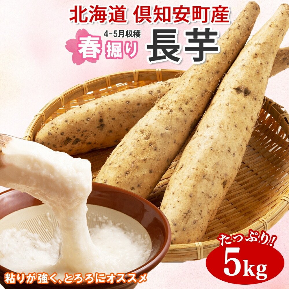 楽天市場】【ふるさと納税】北海道十勝産ながいも 4本セット【B70】 約