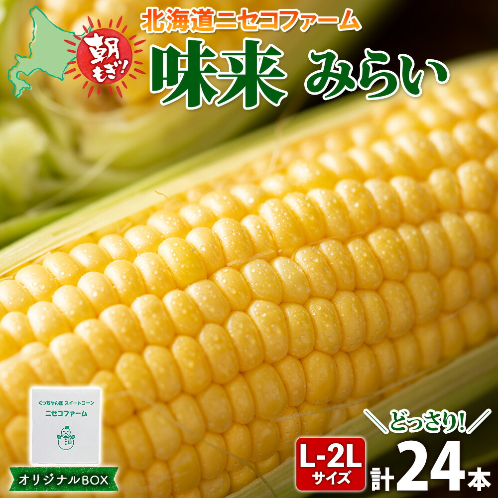 【ふるさと納税】【 2026年 先行予約 】 北海道産 とうもろこし 味来 計24本 L-2L サイズ混合 大きめ みらい 旬 朝採り 新鮮 トウモロコシ 甘い 夏野菜 とうきび お取り寄せ 産地直送 野菜 しりべしや 送料無料　お届け：2026年7月上旬～7月下旬まで
