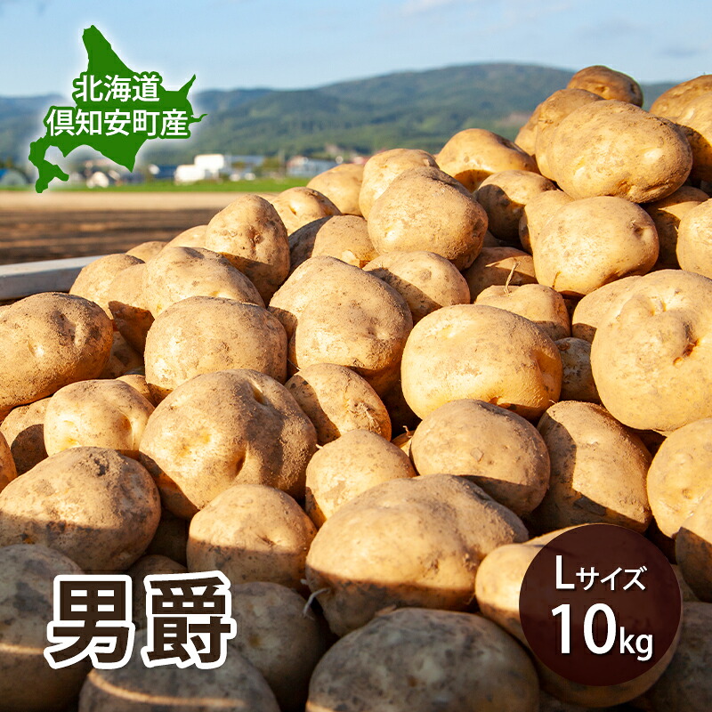 【ふるさと納税】【 2026年 出荷 先行予約 】 北海道 倶知安 産 じゃがいも 男爵 L サイズ 10kg 馬鈴薯 いも 芋 グリーンアースファーム 農家 直送 野菜 産地直送　お届け：2026年9月中旬～2027年1月末まで｜北海道倶知安町