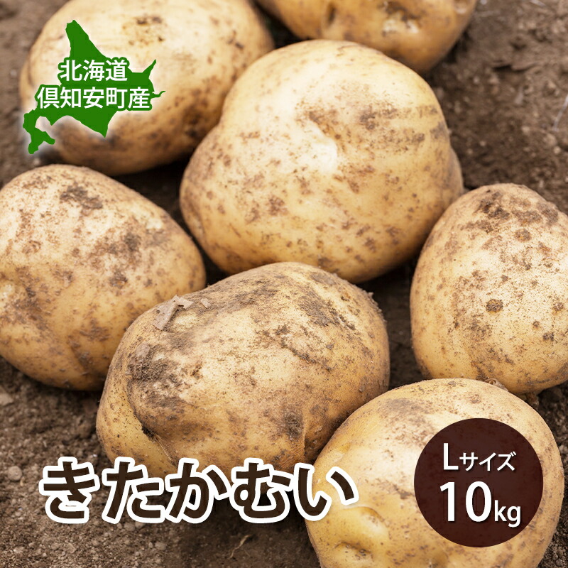 【ふるさと納税】【 2026年 出荷 先行予約 】 北海道 倶知安 産 じゃがいも きたかむい L サイズ 10kg 馬鈴薯 いも 芋 グリーンアースファーム 農家 直送 野菜 産地直送　お届け：2026年9月中旬～2027年1月末まで｜北海道倶知安町