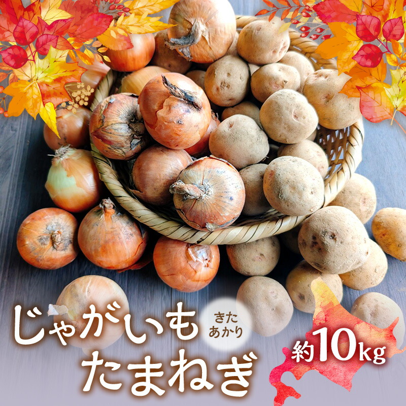 【ふるさと納税】【2026年発送】 オーガニック じゃがたま BOX 約10kg 有機栽培 じゃがいも 玉ねぎ 北海道 倶知安 ニセコグリーンファーム　お届け：2026年9月下旬～11月下旬