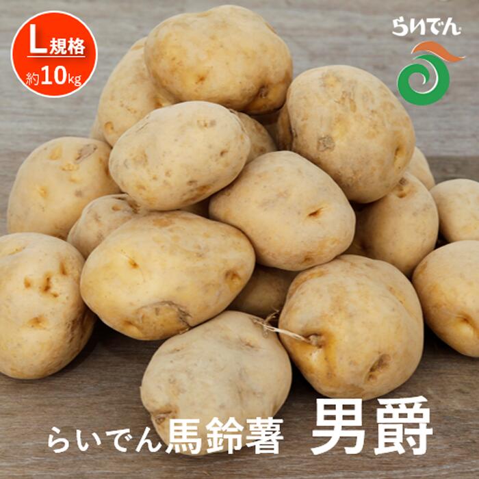 【ふるさと納税】2026年 8月 出荷 先行予約 らいでん 馬鈴薯 男爵 L 規格 約10kg じゃがいも イモ 芋 ポテト 北海道 共和町 産地直送 JAきょうわ 野菜 　お届け：2026年8月下旬～9月下旬